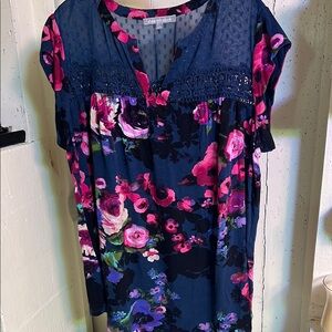 Daniel Rainn Blue and Pink Smocked Blouse with Short Sleeves